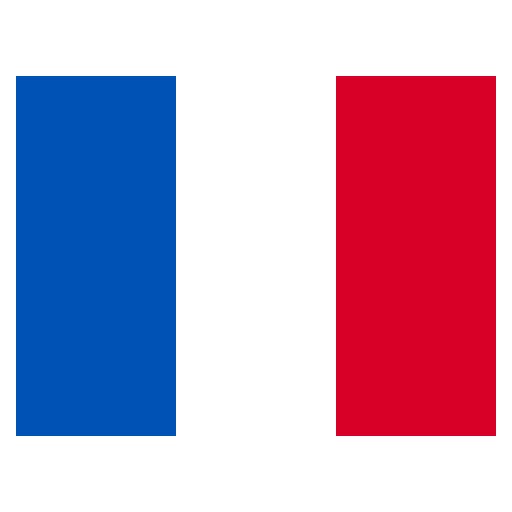 Comtech Import Export LLC French
